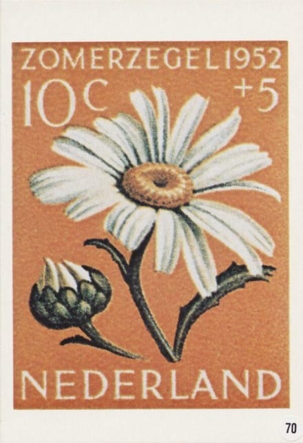 Briefkaart met afbeelding margriet postzegel