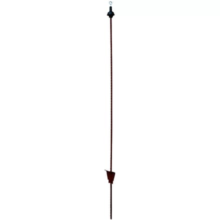 Ovale paal van verenstaal Horizont (x25)