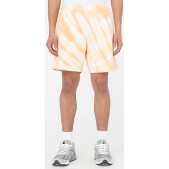 Korte Broek Dickies Westfir short