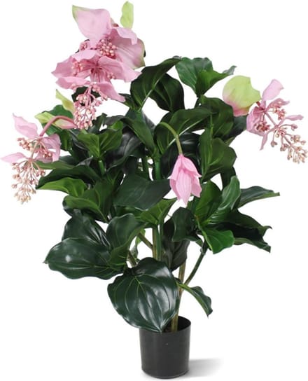Medinella deluxe kunstplant 100cm