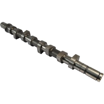 Nokkenas  AE CAM736