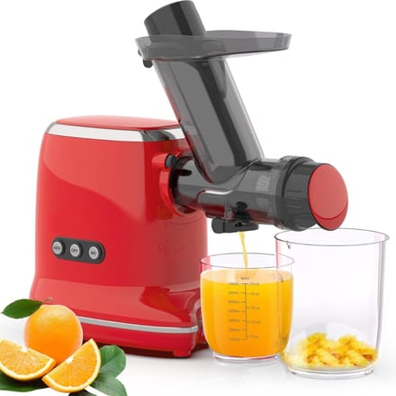 Slowjuicer - Sapcentrifuge - Slow Juicer - Juicer - Groente En Fruit