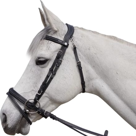 Hoofdstellen voor paarden Flags&Cup Aachen