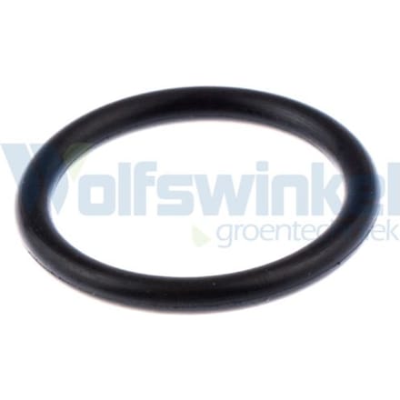 O-ring