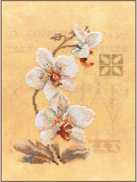Lanarte - Telpakket kit - 3 Orchideeen - PN-0008008