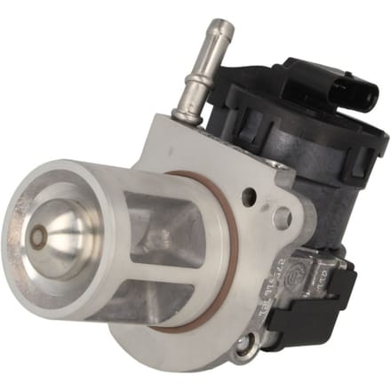 Borg Warner EGR-klep WAHLER 710095D