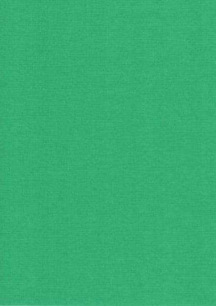 20 Linnen kaarten papier - A5 - Groen - Cardstock - 21 x 14,8cm - 240 grams - karton
