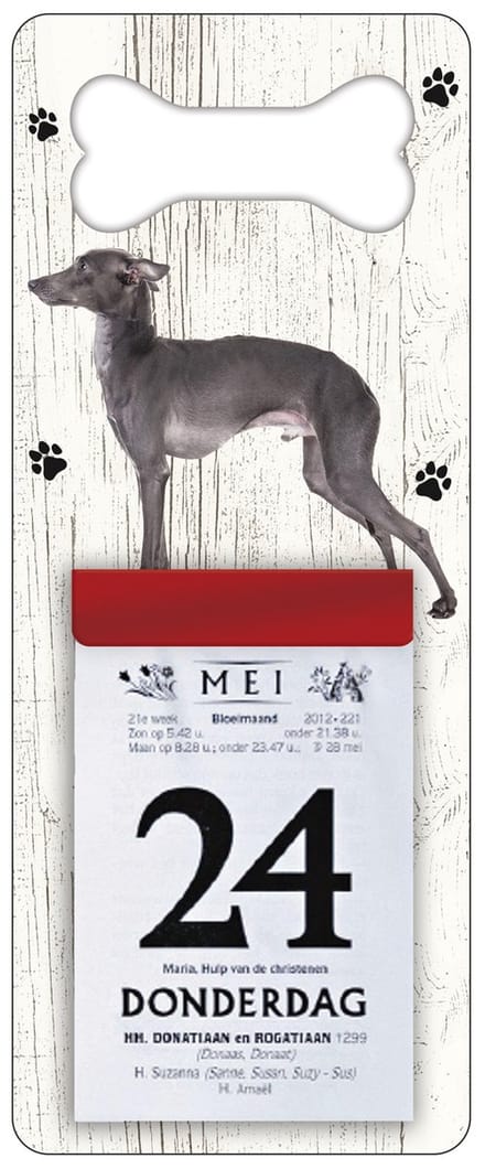 Scheurkalender 2027 Hond: Italiaanse windhond