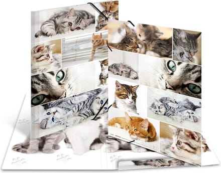 HERMA Elasticated folder A3 cardboard Katten