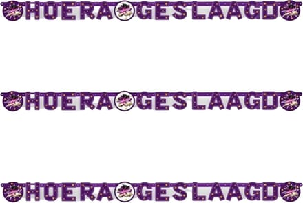 Haza Letterslinger geslaagd thema - 3x - paars/wit - karton - 170 cm - diploma examenfeest versiering