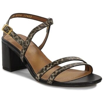 Sandalen met hakken Maciejka 0695812000
