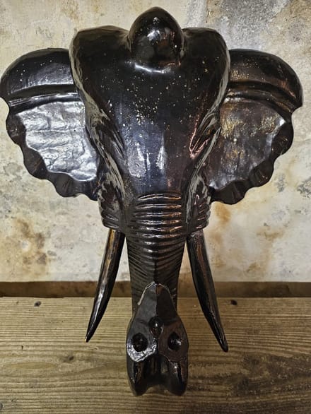 Olifant hoofd beeld
