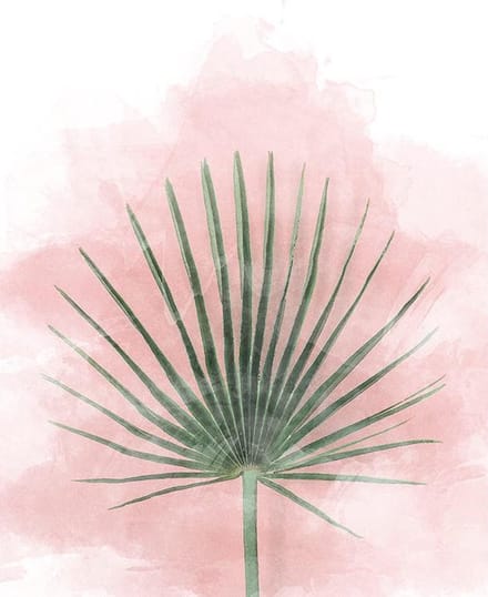 Poster Palmblad - 30x40 cm - Planten Poster - WALLLL