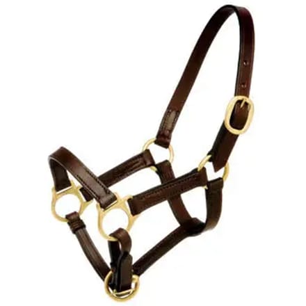 Hispano Hipica Short Leather Halster Zwart Potro