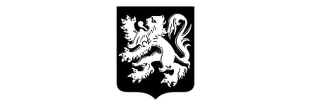 Vlag Merksplas 200x300cm