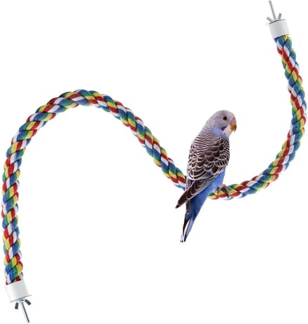 Kleurig Bungee Speelgoed voor Voge