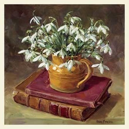 Double card with env. Snowdrops with books 15x15cm