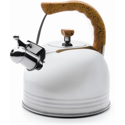 Lacor Fluitketel - 2,5L - Rvs - Alle Warmtebronnen