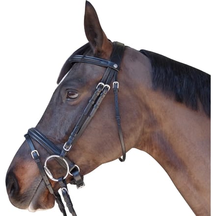 Bridle privilege Canter Euro - Pull Back