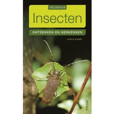 Insecten - Veldgids - Ulrich Schmid