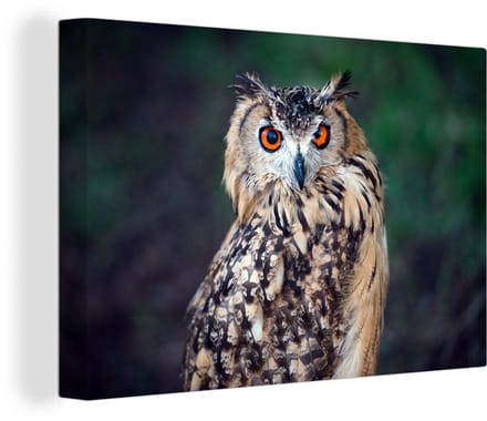 Canvas Schilderij Oehoe uil - 90x60 cm - Wanddecoratie