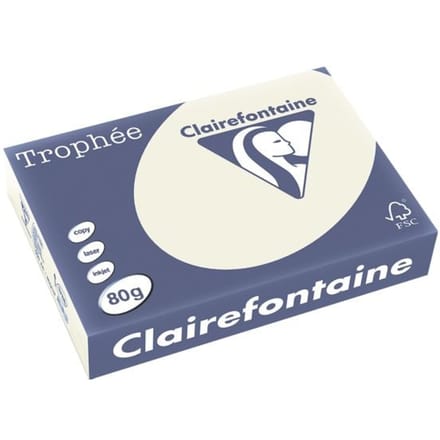 Clairefontaine Trophée gekleurd papier, A4, 80 g, 500 vel, parelgrijs
