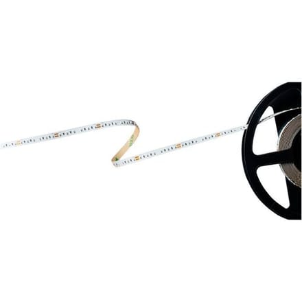 Barthelme Basic 120 51540911 LED-strip Met open kabeleinde 24 V 5 m Rood 1 stuk(s)