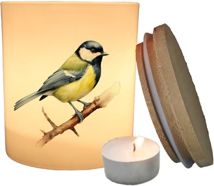 Geurfruit - Waxinelichthouder - Vogel - Koolmees