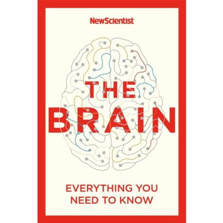 The Brain - New Scientist