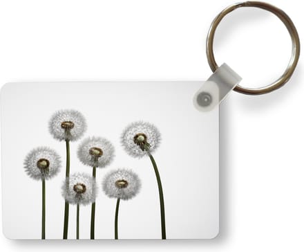 Sleutelhanger - Paardenbloem - Illustratie - Zaden - Uitdeelcadeautjes - Plastic