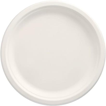 1x 100 Borden van suikerriet pure 1-vaks Ø 26 cm · 2 cm wit