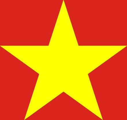 Vlag Vietnam 50x75cm