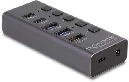 Delock USB 5 Gbps Hub with 2 x USB Type-A and 2 x USB Type-C™ female and 1 x Fast Charging Port + Switch