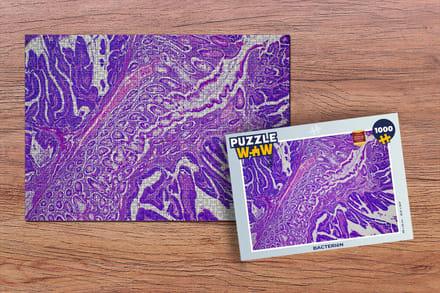 Puzzel Bacteriën - Legpuzzel - Puzzel 1000 stukjes volwassenen
