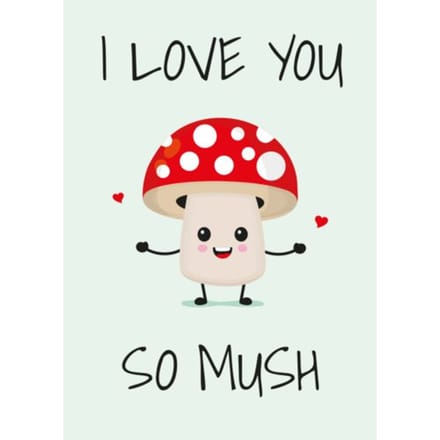 I Love You So Mush