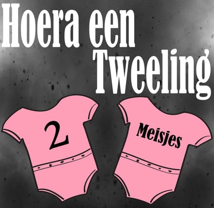 Jerma-Geboorte raamsticker-Hoera een tweeling-2 meisjes geboren