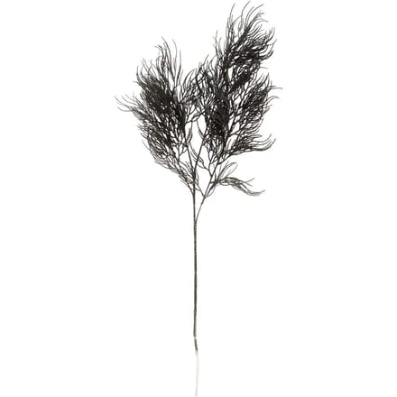 Kunstplant varenstengel asperge Present Time