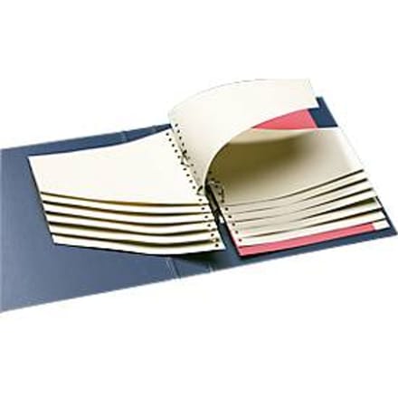 Schäfer Shop Select  staffel-scheidingsbladen, 100 stuks