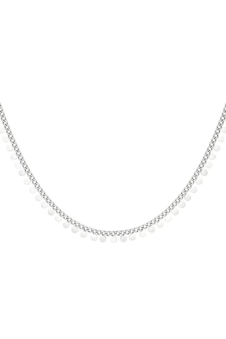 Coin ketting - zilver - Stainless steel