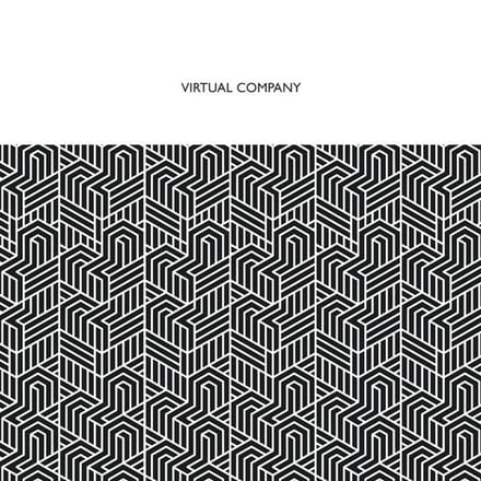 Virtual Company - Virtual Company (CD)