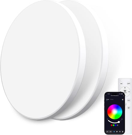 Oraymin 2x RGB LED Plafondlamp - Afstandsbediening - 24W 2400LM - Ø30cm