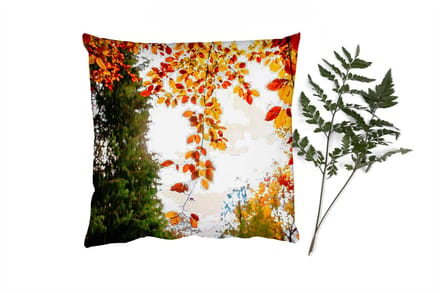 Sierkussens - Kussentjes Woonkamer - 45x45 cm - Herfst - Bladeren - Natuur