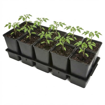 Garronda Kweektray met 10 x 1,7 L potten GD-KW-T