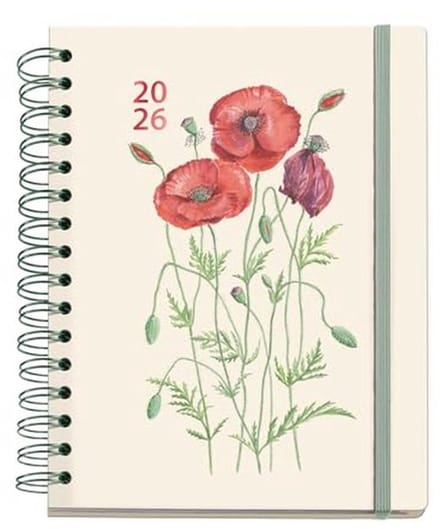 Dagplanner 2026, Dag per Pagina, A5+ Formaat, Dubbele Spiraal, Gelamineerde Envelop, Diverse Talen, Creatief Ontwerp, Stickers
