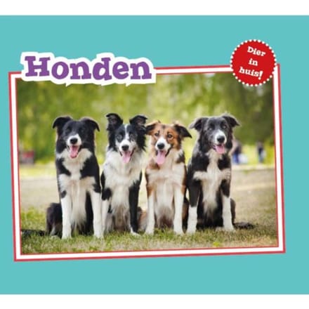 Honden - Dier In Huis - Christina Mia Gardeski