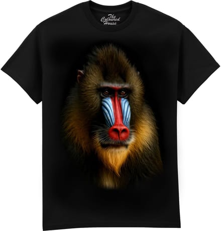 Mandrill The Coloured House T-shirt L