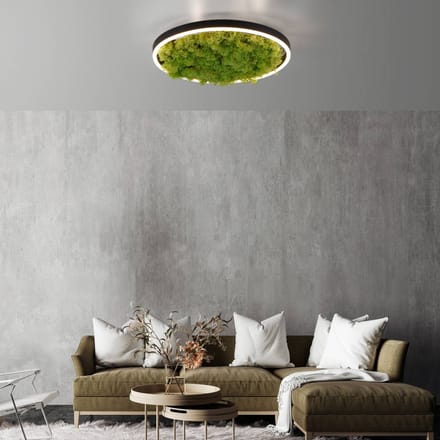 JUST LIGHT. GmbH LED plafondlamp Green Ritus, mos dimbaar Ø39,3cm