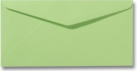 Envelop 11 x 22 cm Appelgroen 60 stuks