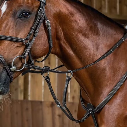 Martingale voor paarden Dy'on Working