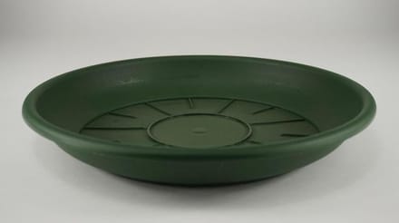 Waterschotels / Onderschalen - Pak á 10 Schotel Domus 42 Cm Groen